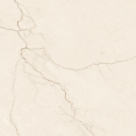 Avorio 24" x 24" creme mat