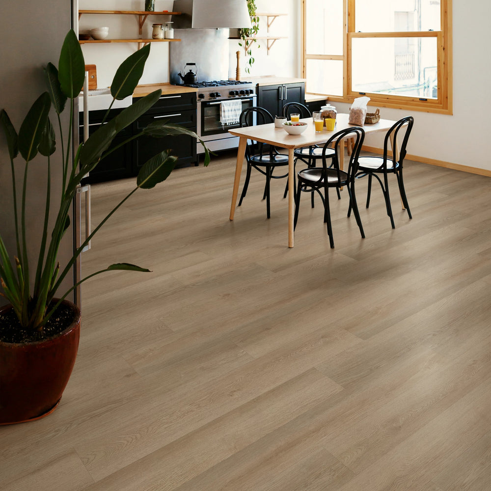 Pinto 6" x 48" - Auto-Plombant