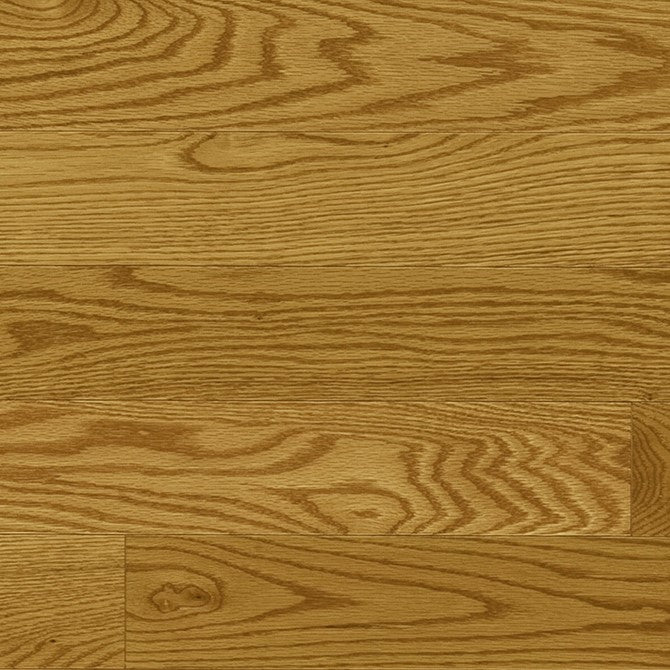 Chêne rouge Nuance Max 19 / Red Oak Nuance Max 19 - Honey