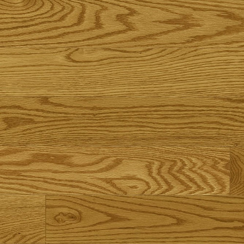 Chêne rouge Nuance Max 19 / Red Oak Nuance Max 19 - Honey