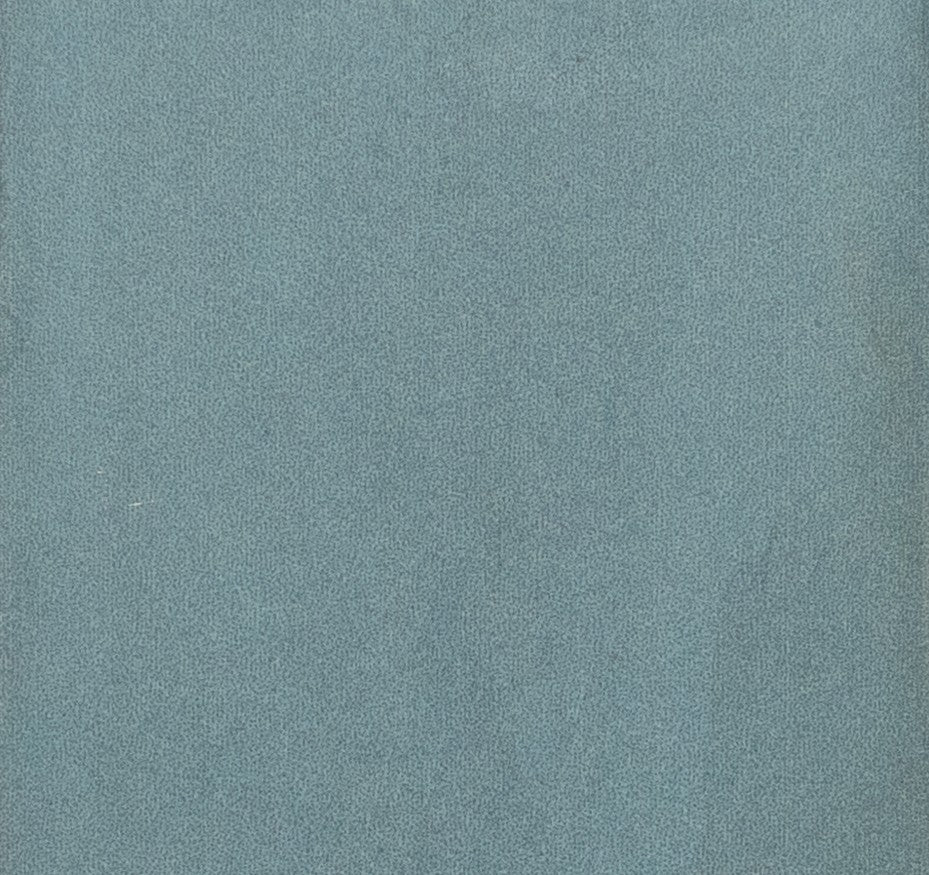 Calema 2" x 6"