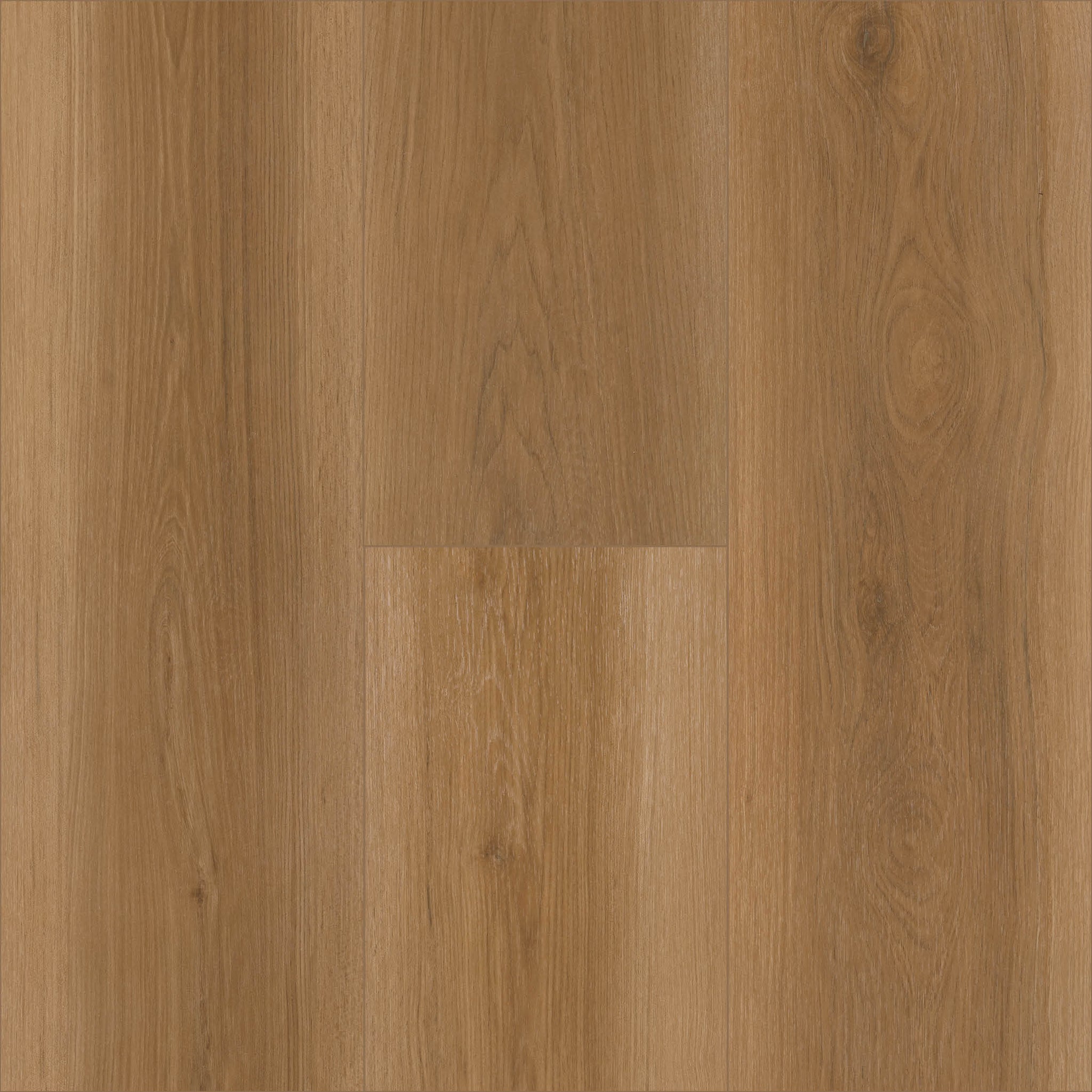 NORGANICA - SPICED HONEY - SWATCH