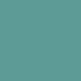 Spectra 8'' x 24''