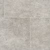 EASY LIVING - GRIS FROID - SWATCH