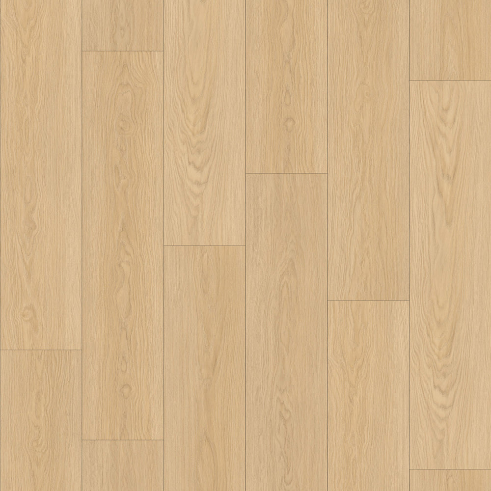 Sahara 6,50" x 48" 12mm -Clic