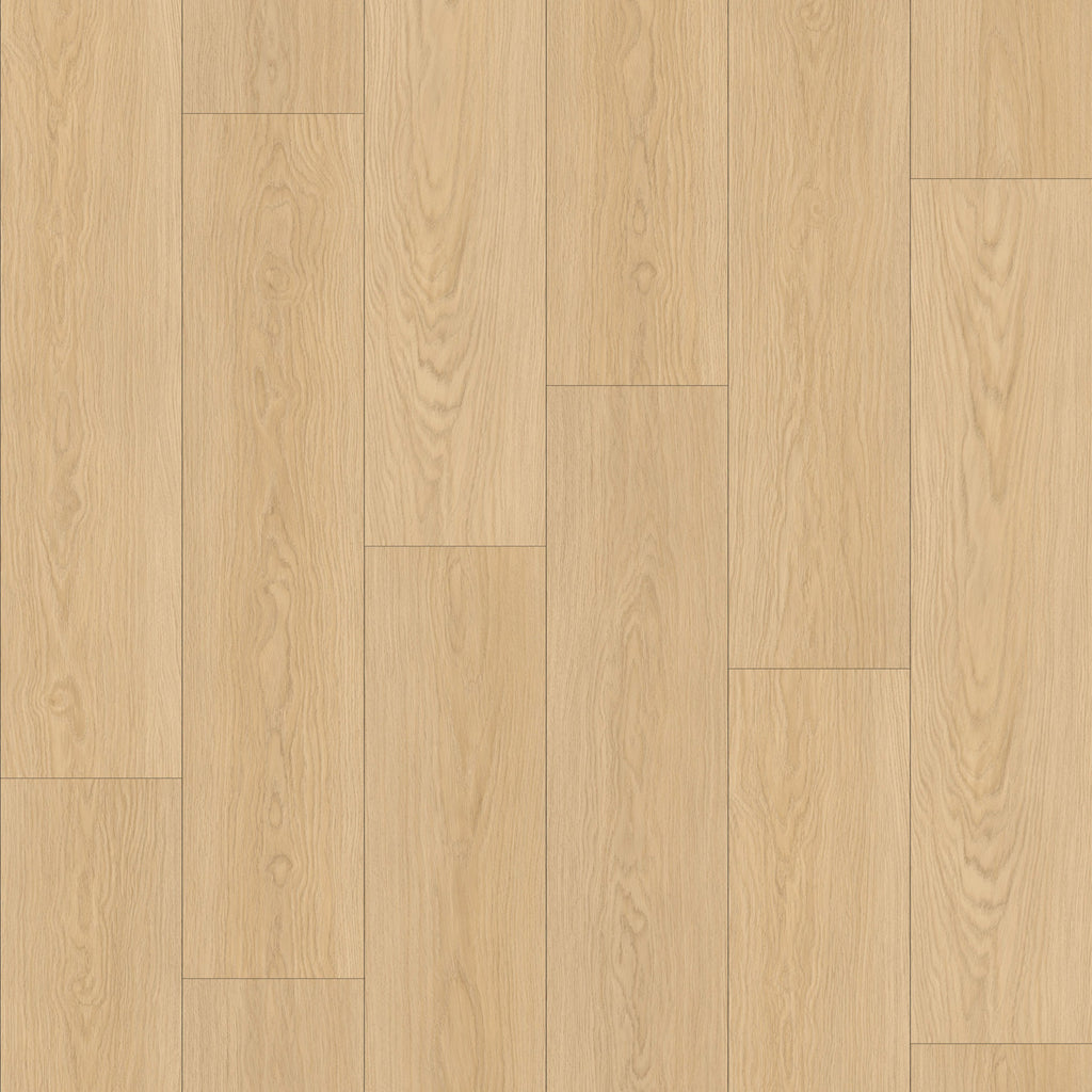 Sahara 6,50" x 48" 12mm -Clic