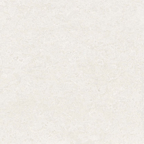 Coral stone 24" x 24"