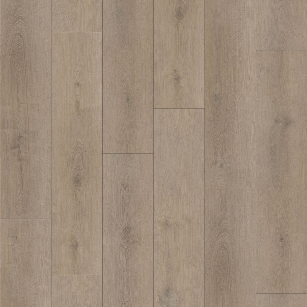 Sahara 6,50" x 48" 12mm -Clic