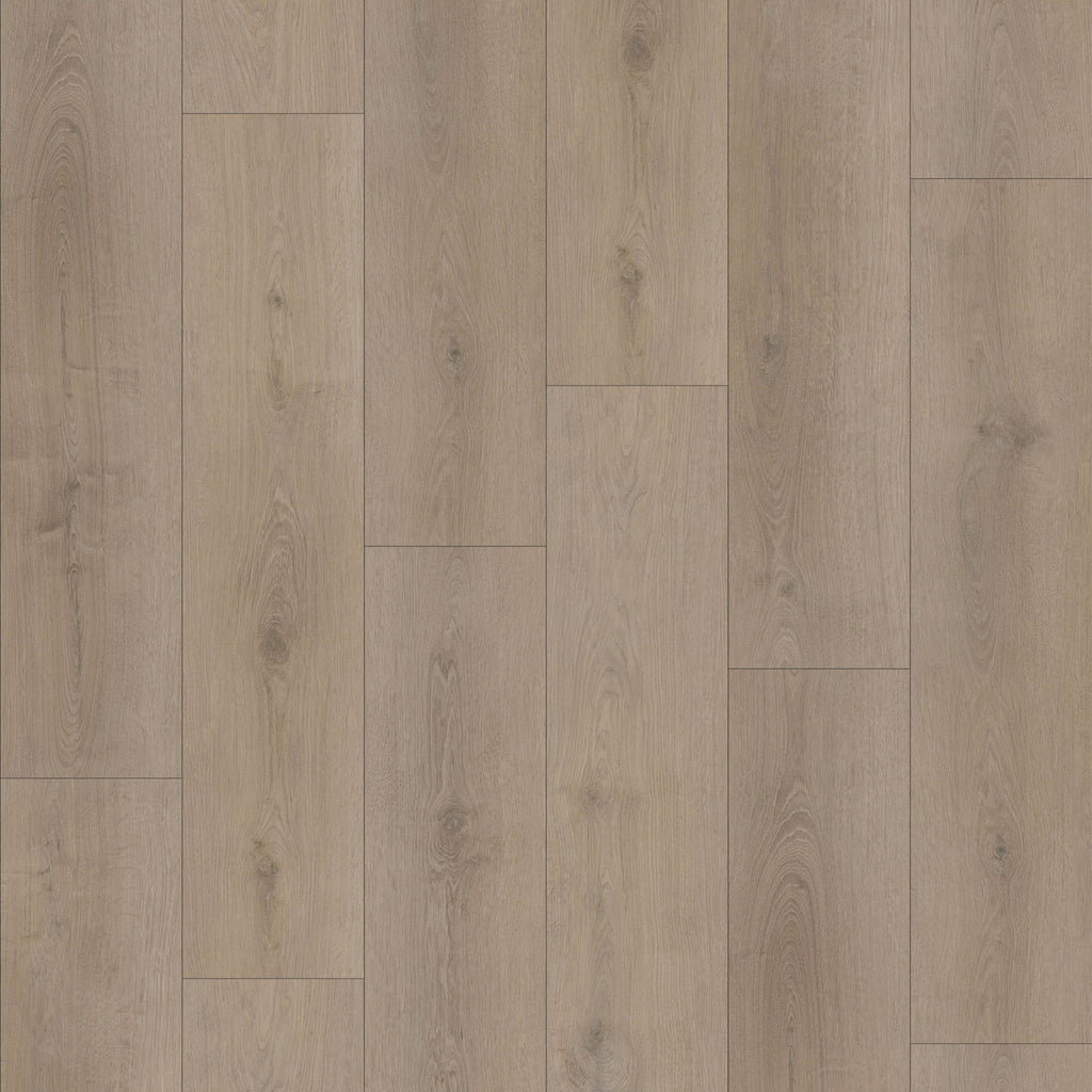 Sahara 6,50" x 48" 12mm -Clic