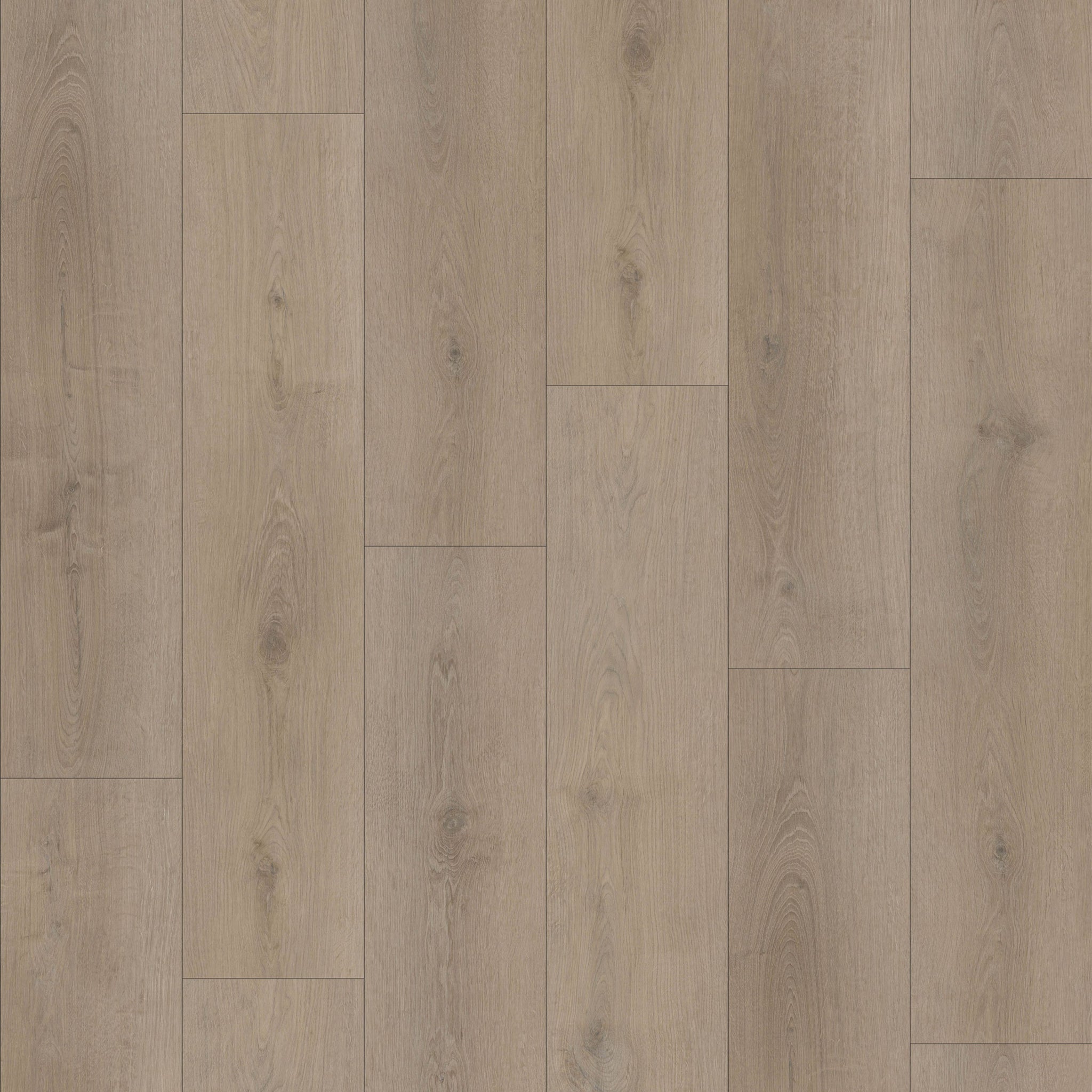 Sahara 6,50" x 48" 12mm -Clic
