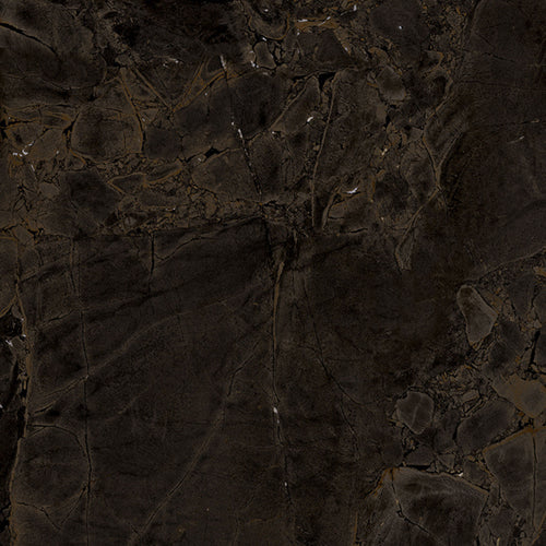 The room 24" x 48"