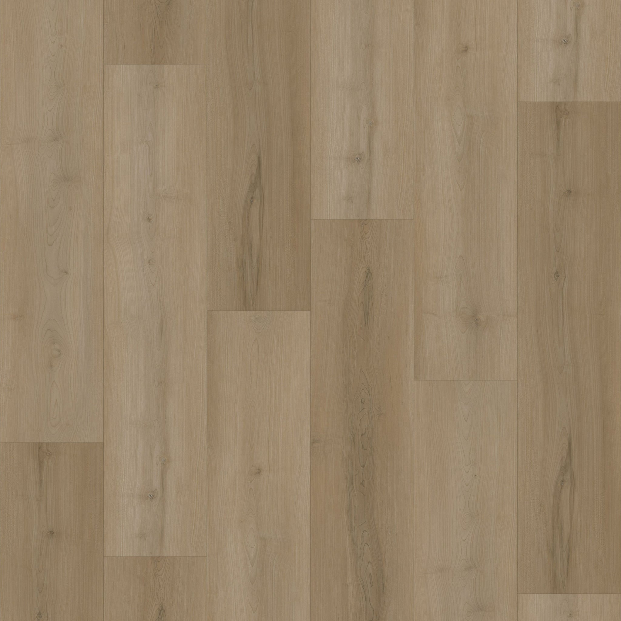 Sahara moulures 1/2" - 96"