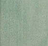 Calema 2" x 6"