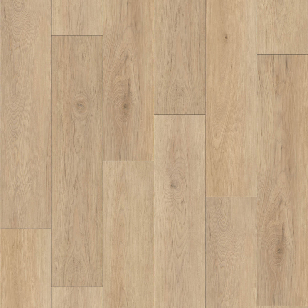 Sahara 6,50" x 48" 12mm -Clic