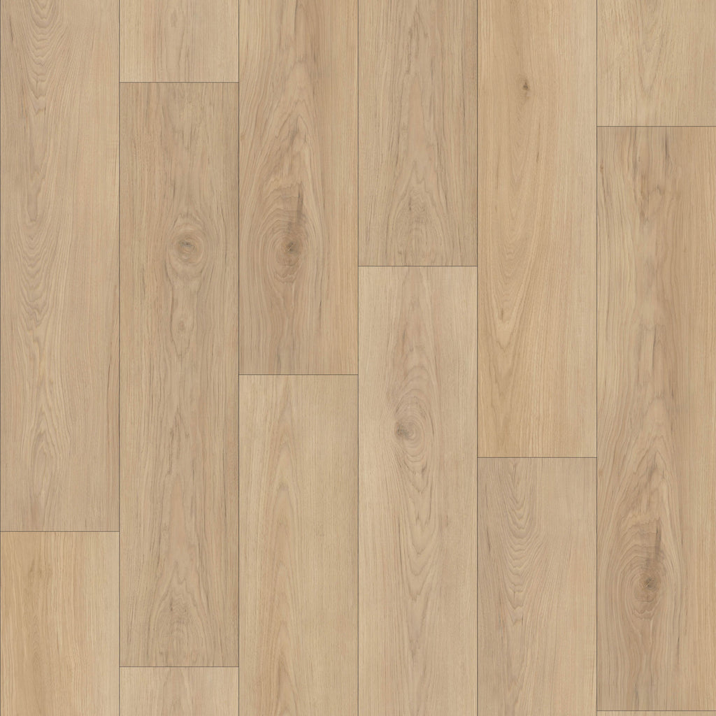 Sahara 6,50" x 48" 12mm -Clic