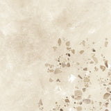 I cocci