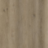 Bevo pro 5.9" x  48"