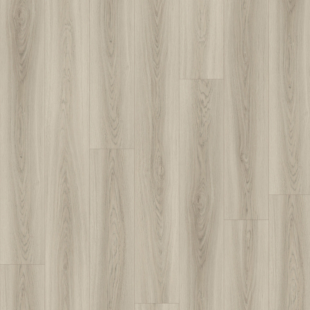 Quincy 7" x 48" 7mm - Clic
