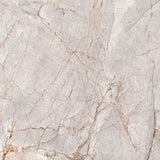 Glory 24" x 24" polished glory