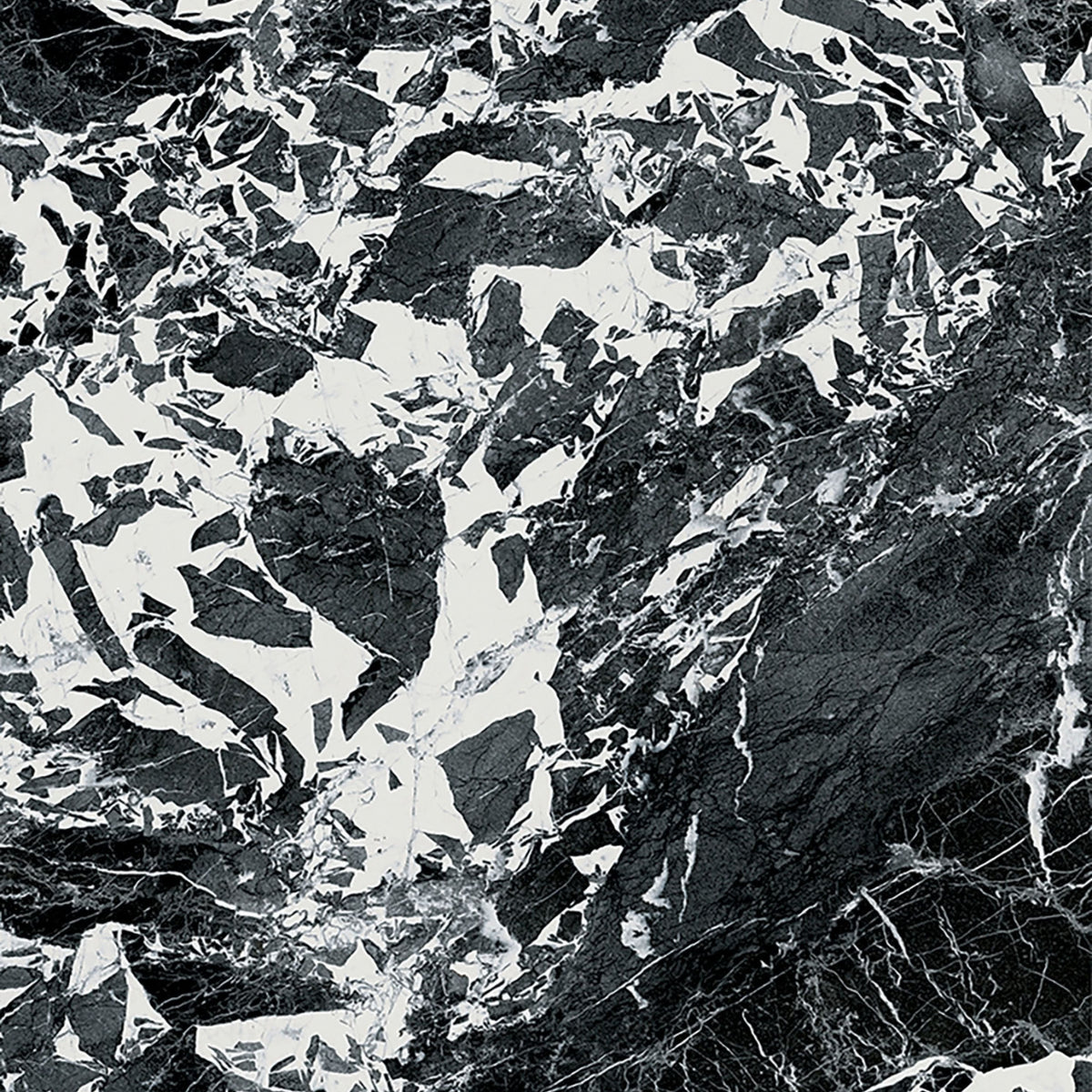The room 24" x 48"