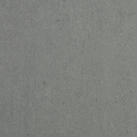 Regal Mat - Gris Foncé / Dark Grey