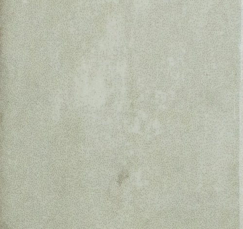 Calema 2" x 6"