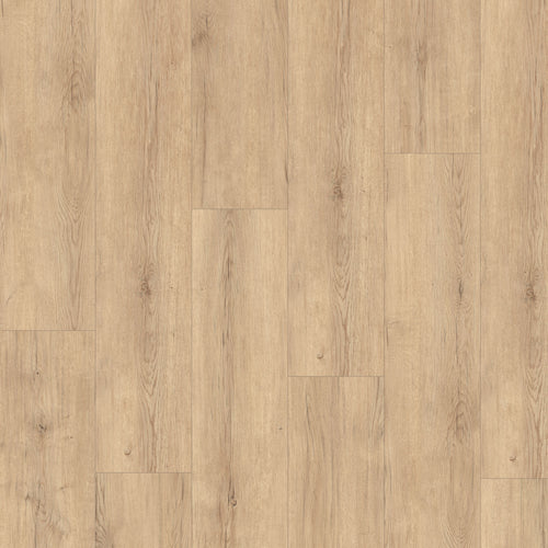 Bauhaus 7,60" x 50,87" 12mm - Ac5