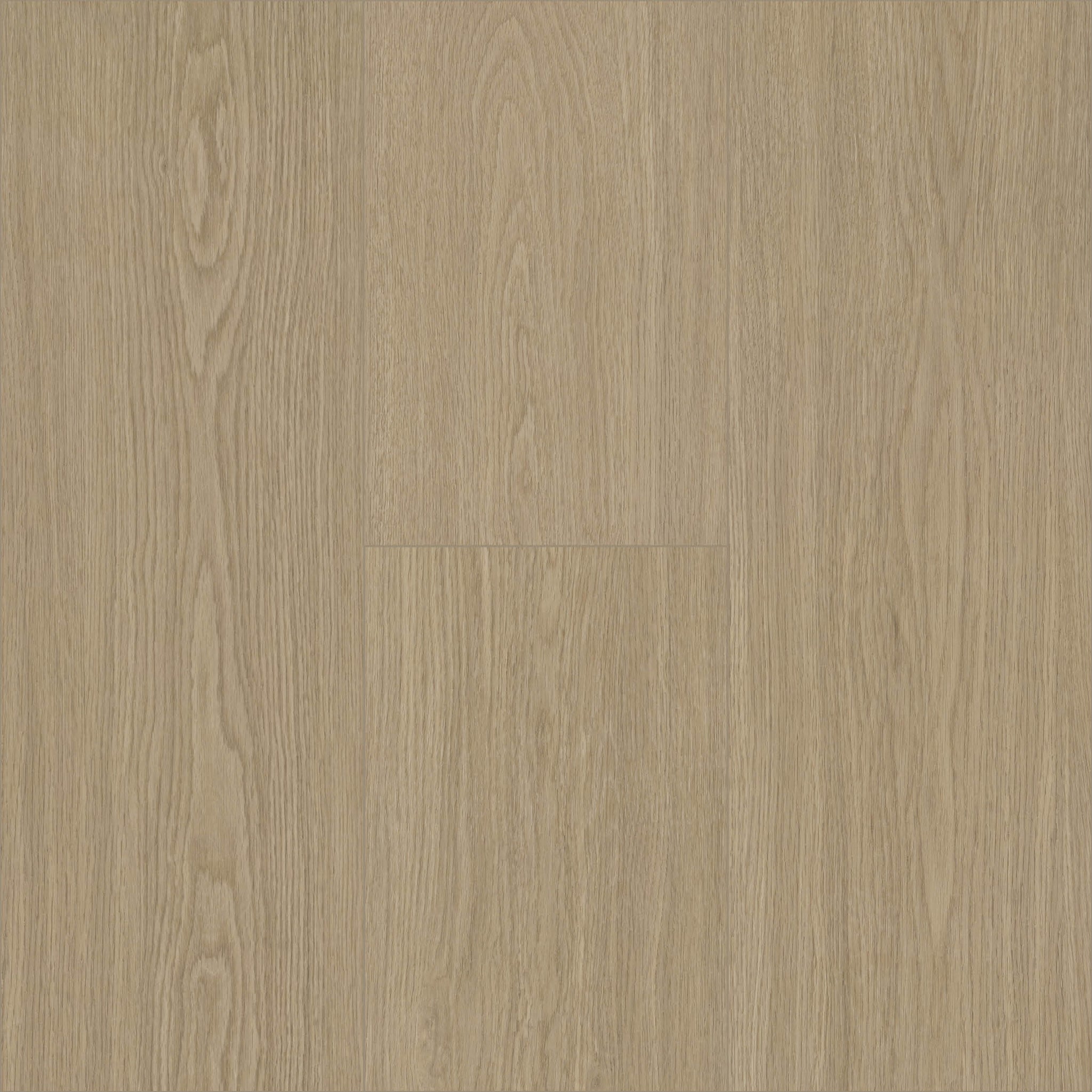 NORGANICA - CLEAR BLONDE OAK - SWATCH