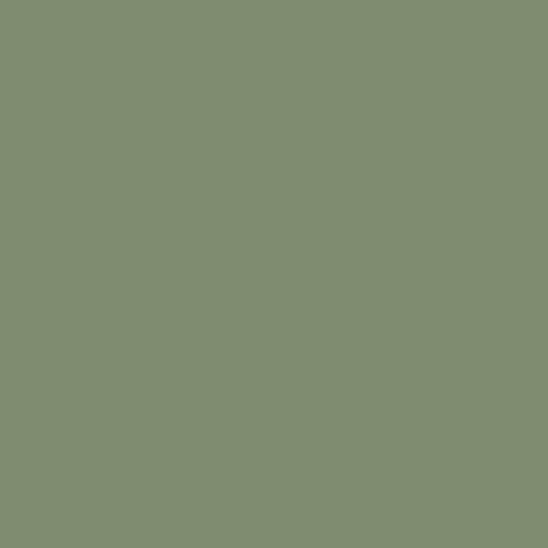 Spectra 8'' x 24''