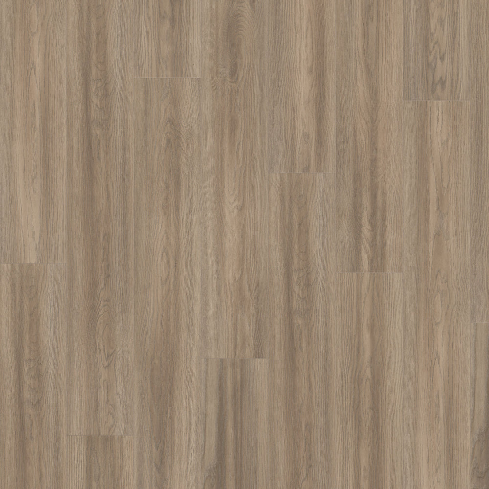 Bauhaus 7,60" x 50,87" 12mm - Ac5