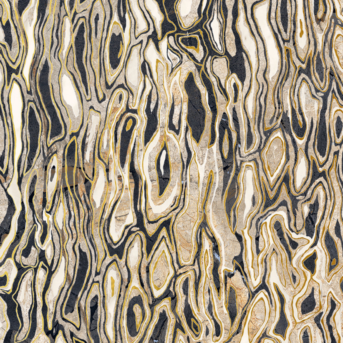 The room 24" x 48"