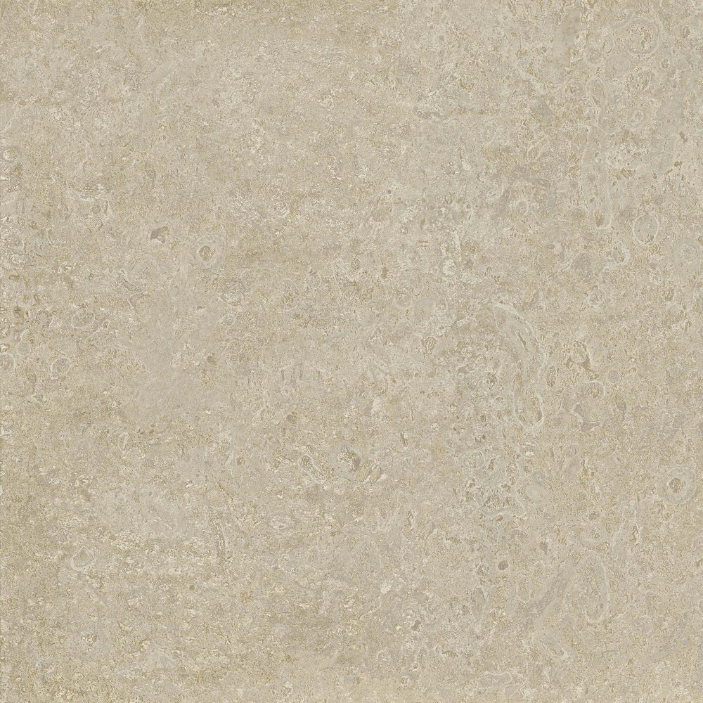 Coral stone 24" x 24"