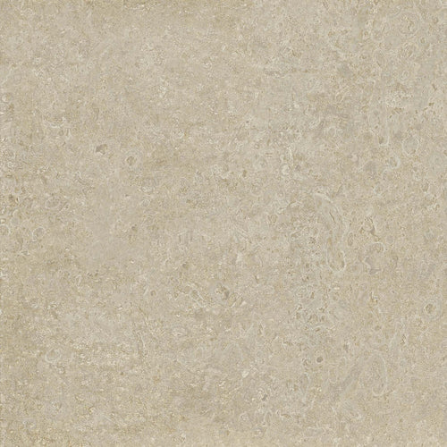 Coral stone 24" x 24"