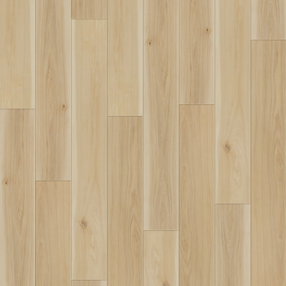 Hydrogen 7 9" x60" 7mm - Spc click i4f