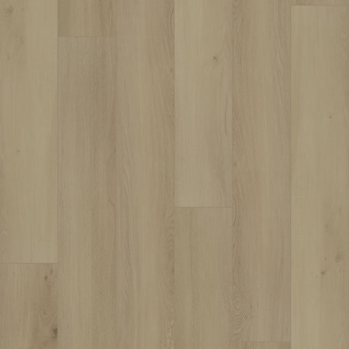 Hydrogen 8 moulures 94,49"