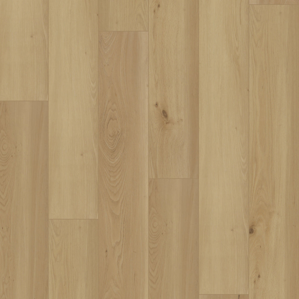 Hydrogen 8 moulures 94,49"