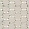 Gris Sterling Hexagone / Sterling Grey Hexagon