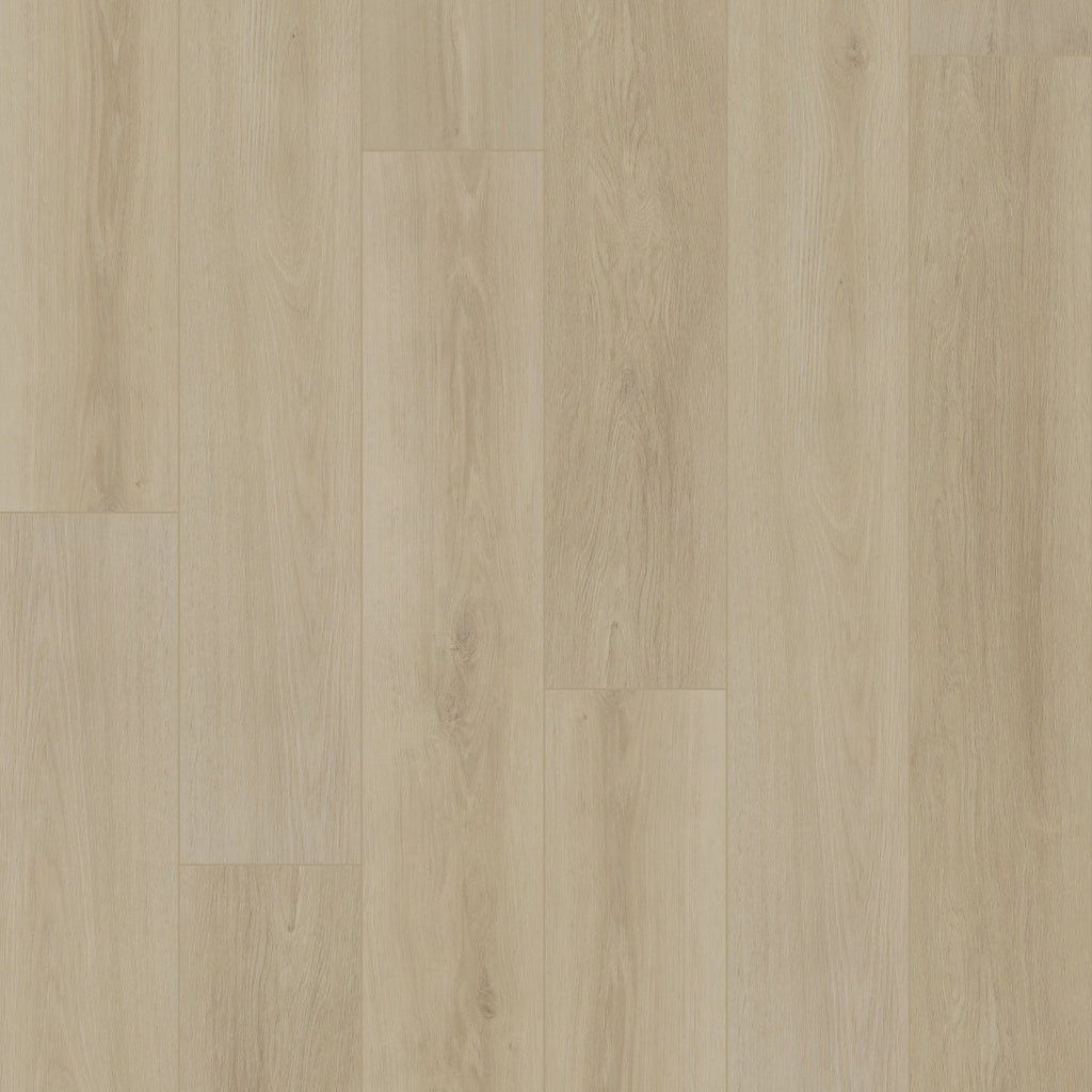 Hydrogen 8 moulures 94,49"