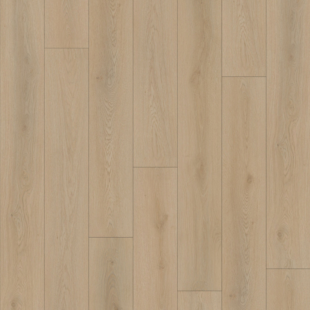 Quincy 7" x 48" 7mm - Clic