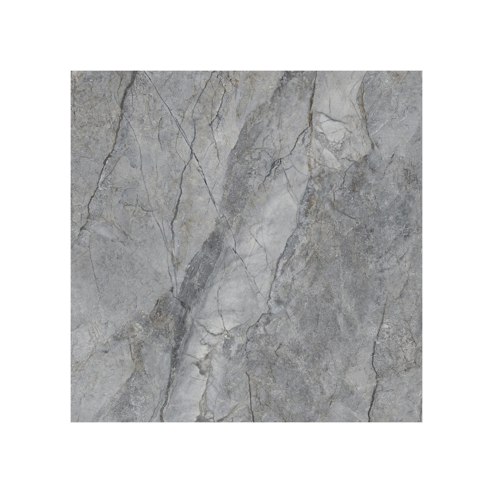 Rolex 24" x 24" gris