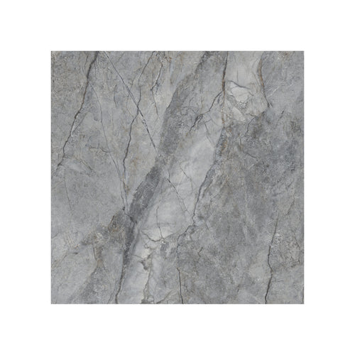 Rolex 24" x 24" gris