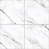 Calacatta-Black 24" x 24"