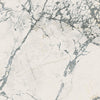 The room 24" x 48"