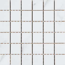 Carrara x blanc mosaic