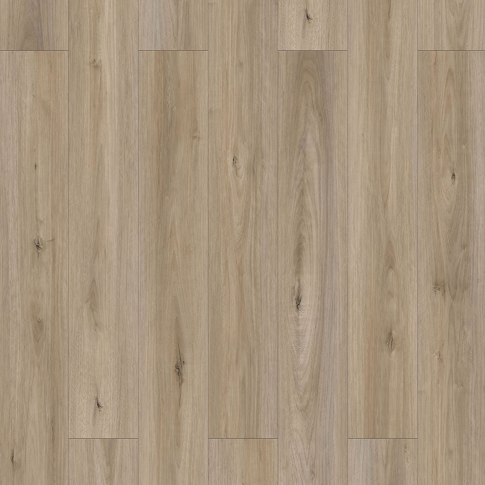 Sahara 6,50" x 48" 12mm -Clic