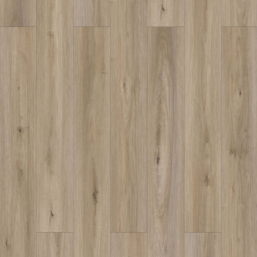 Sahara 6,50" x 48" 12mm -Clic