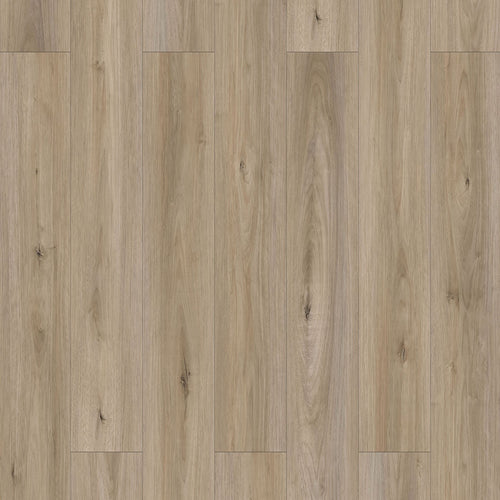 Sahara 6,50" x 48" 12mm -Clic