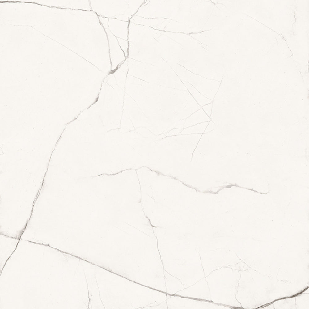The room 24" x 48"