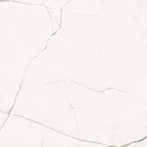 The room 24" x 48"