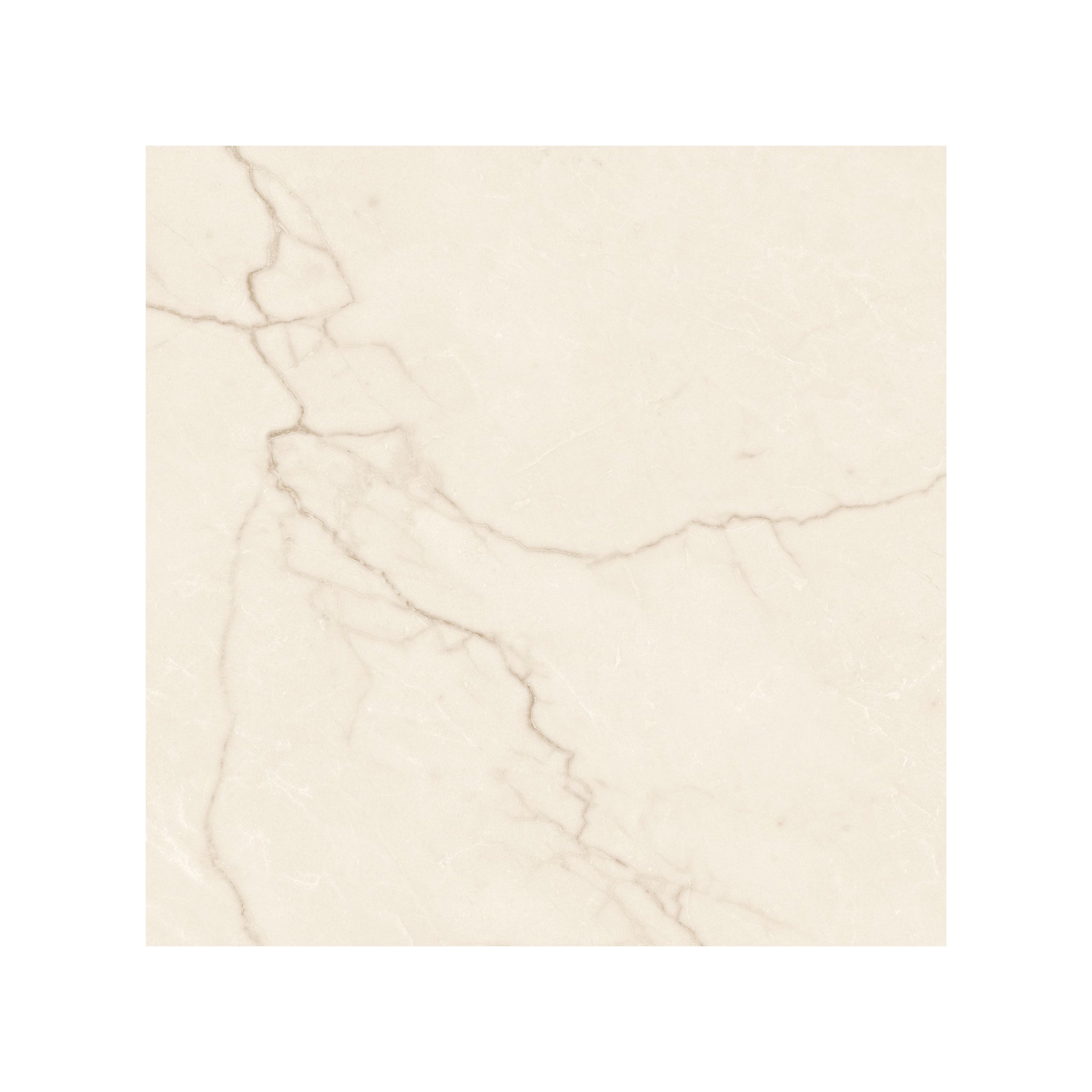 Avorio 24" x 24" creme mat